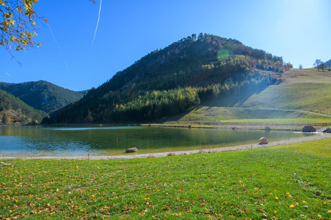 Chalet Am Schneeberg See Puchberg am Schneeberg Eksteriør billede